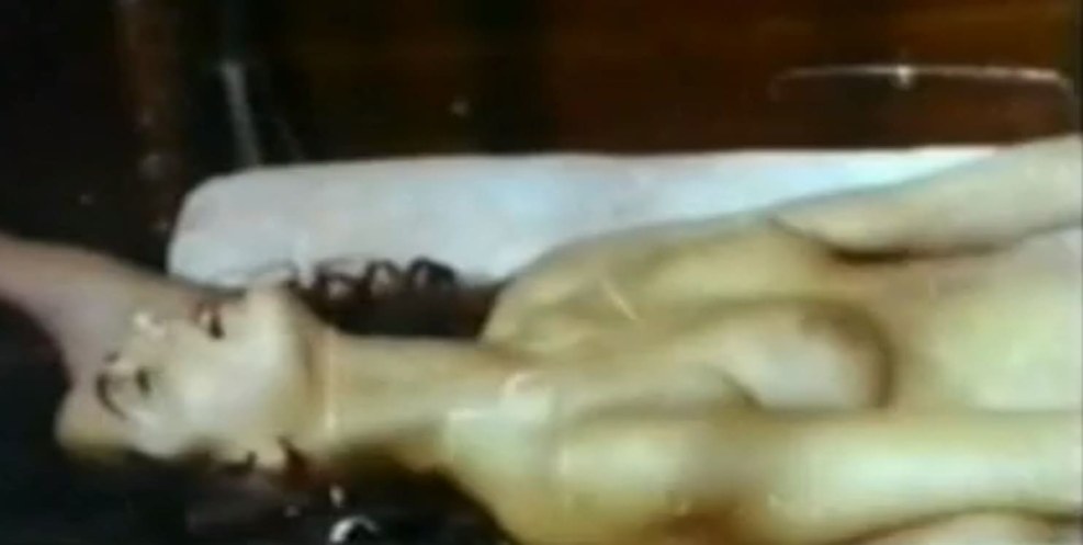 Zerin Eglelle Films Sex