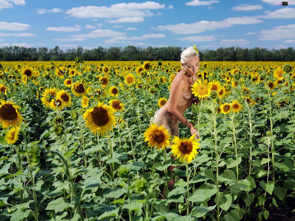 Hentai plants against zombie heroes