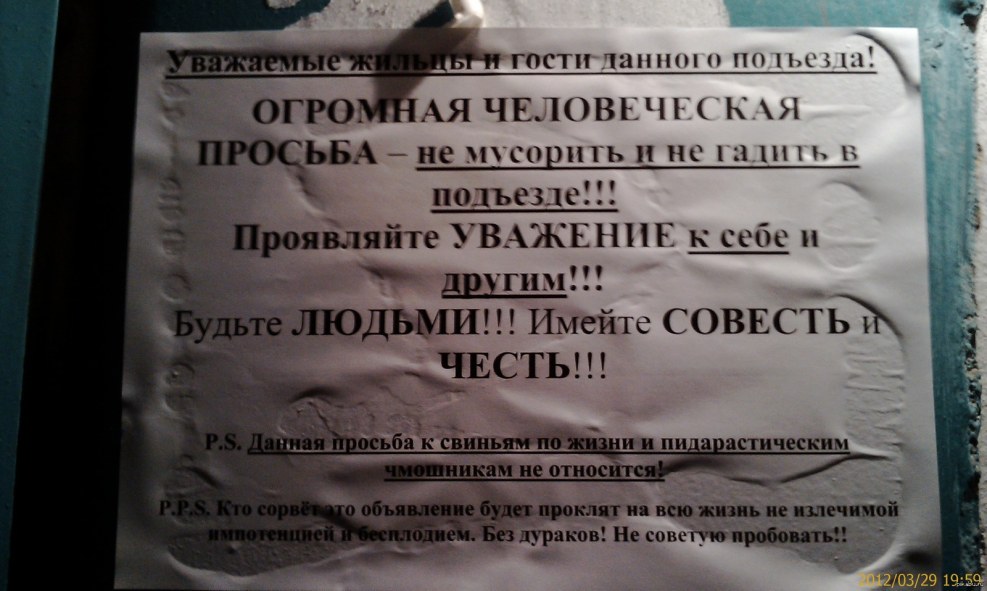 41zero42 Paper41 Pro Musa 50x100