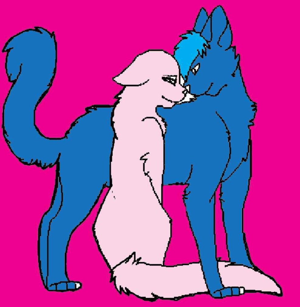 Cat on the pope girl