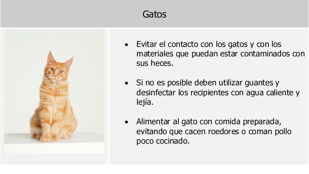 Leo and Tig Yara Art 18 +