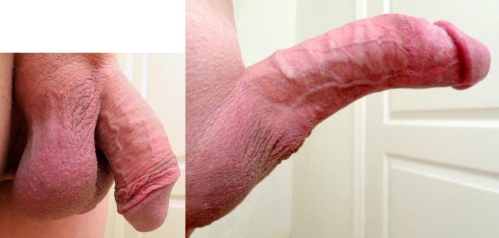Beautiful male penis