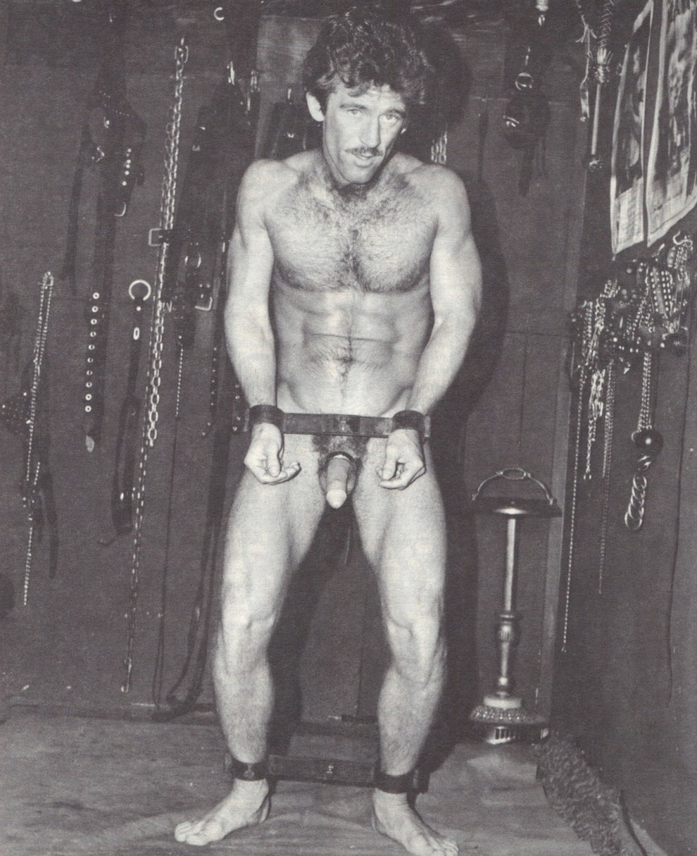 Pornstars Tracy Adams