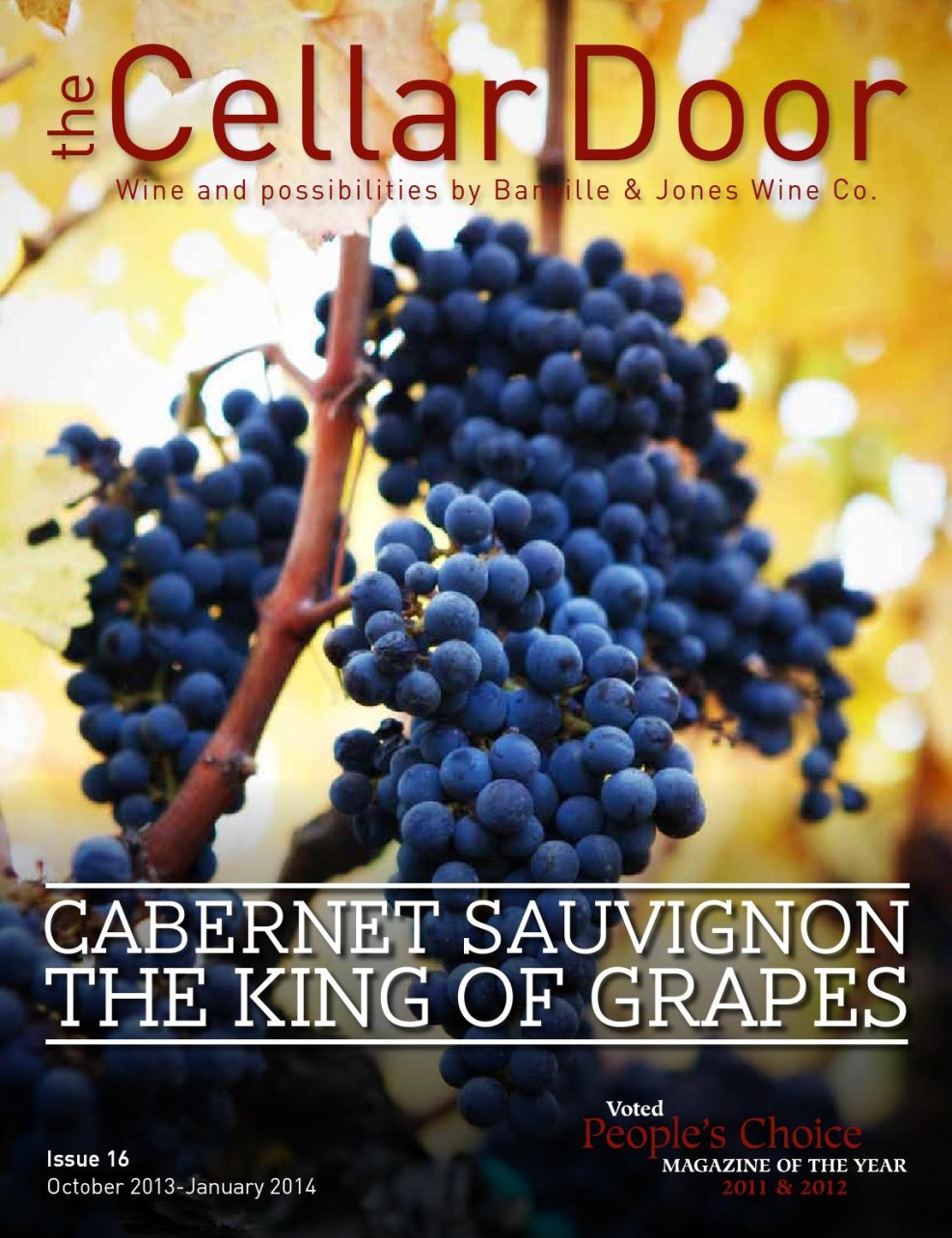 Lebanese singer Shiraz