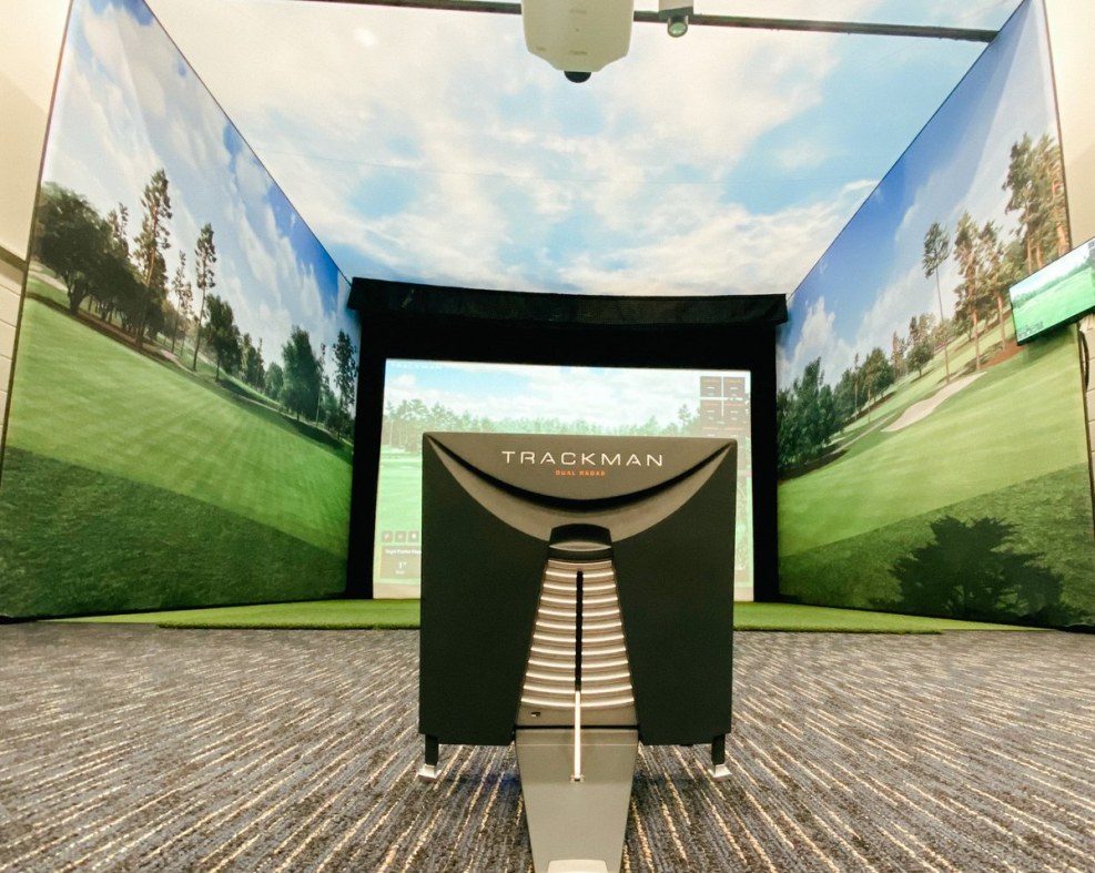 Naked Harley Queen Cartoon series