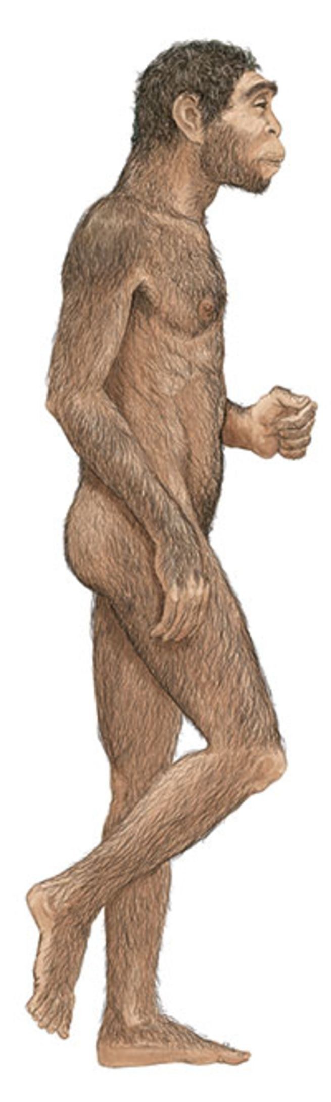 Dinosaur Raptor Hentai