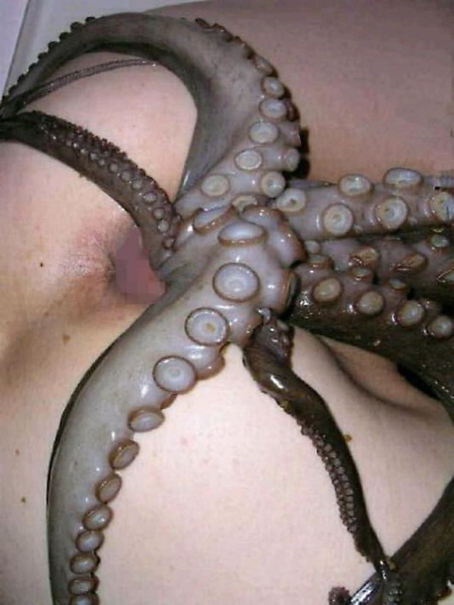 Octopus Asian Porn