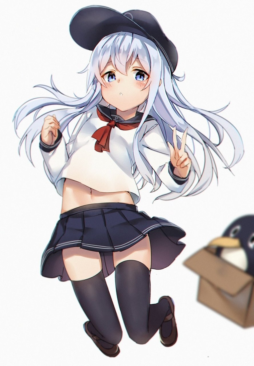 Hibiki Penguin anime