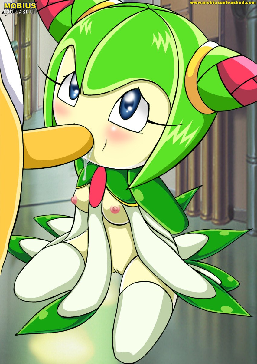 Cosmo The Seedrian (56 photos)