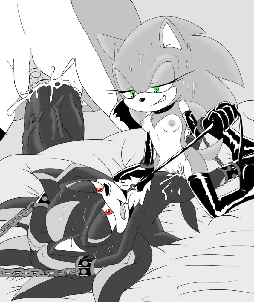 Sonic the Hedgehog and Infinite Hentai