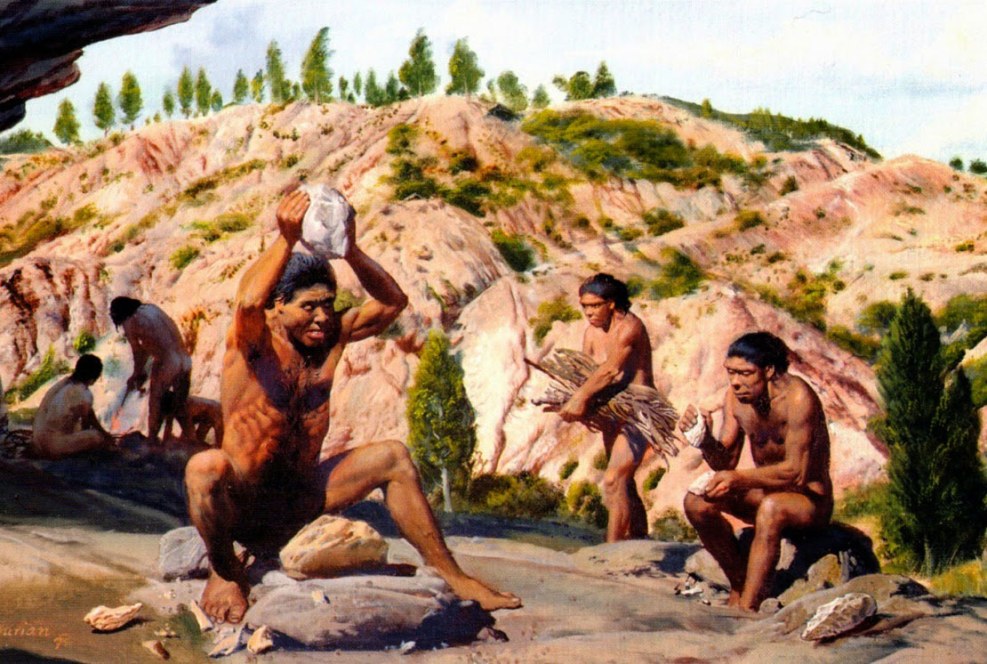 Homo habilis archanthropes