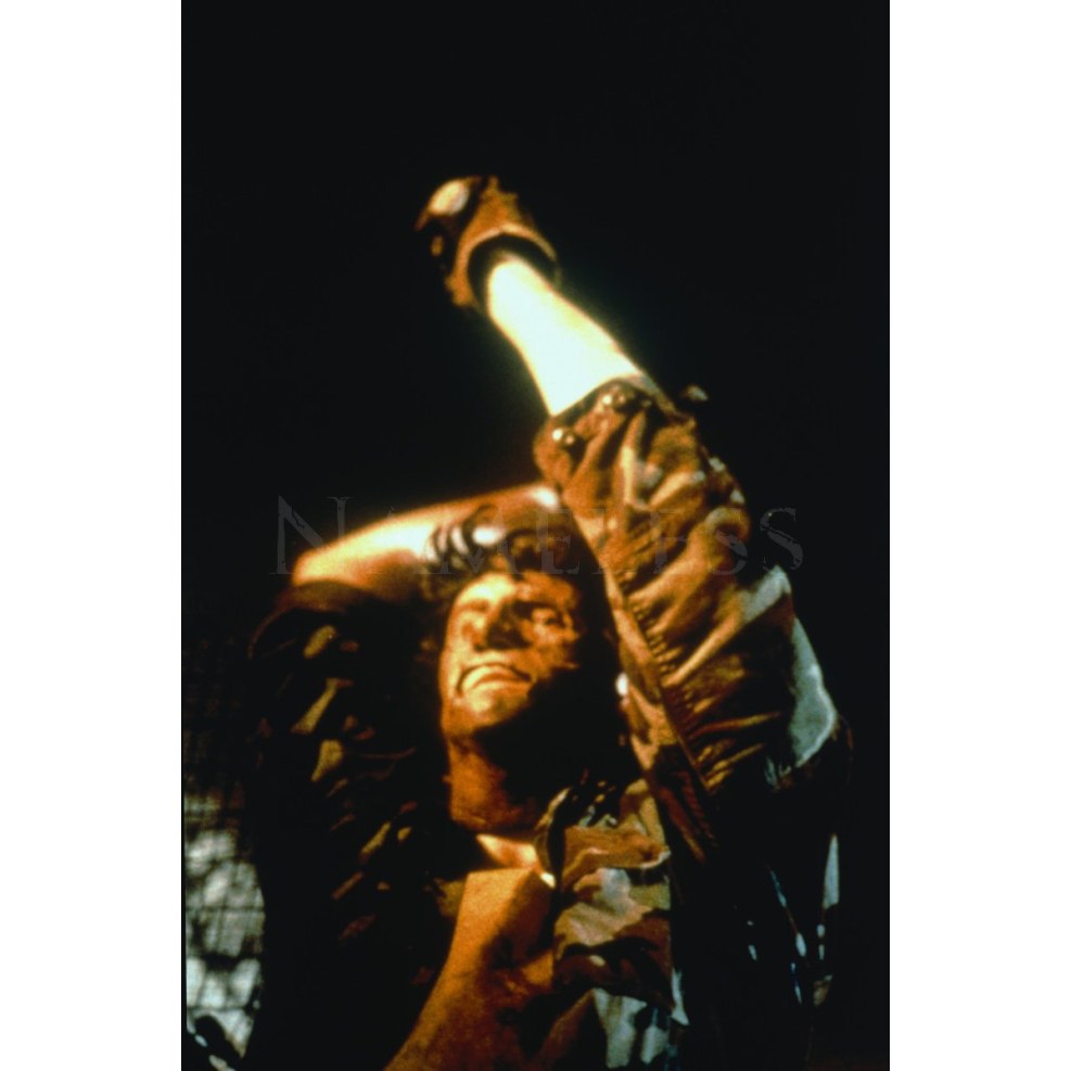 The massacre of the chainsaw