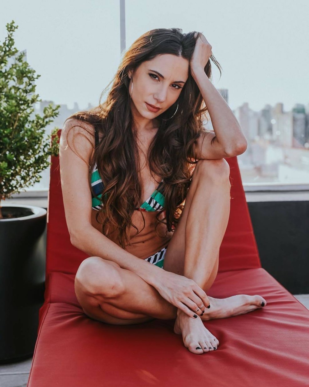 Soyneiva plums from dense