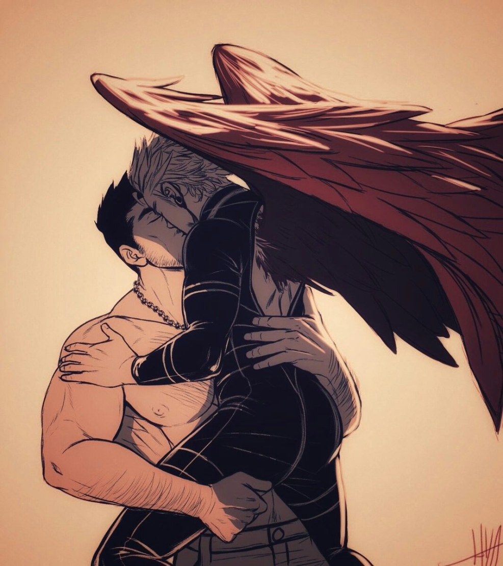 My heroic academy is hawk and dabi