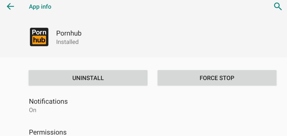 Pornhub Russifier Appendix