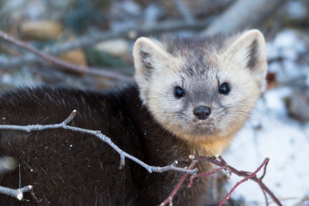 Porn actresses Russian Lyuba