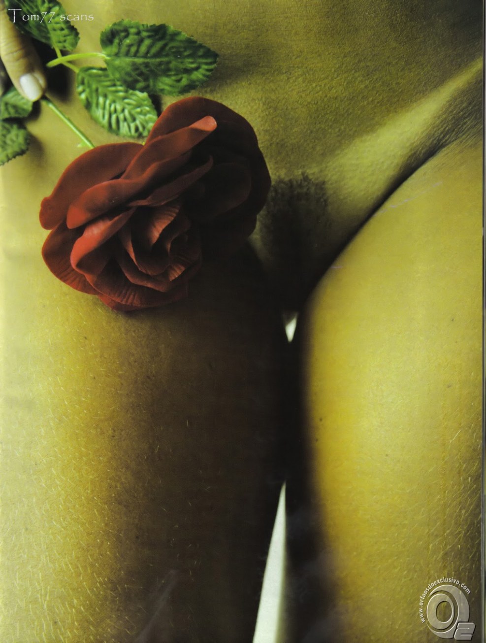 Films from the studio Brasileirinhas