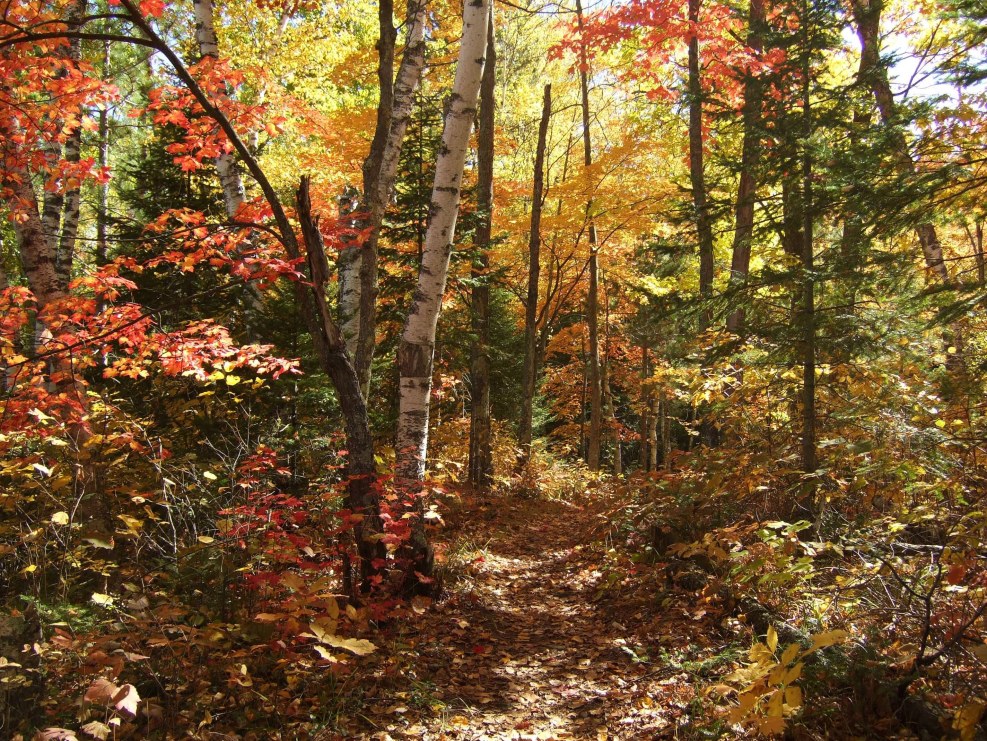 Inspiration Autumn and Fall