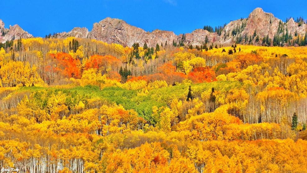 Pictures on the desktop autumn