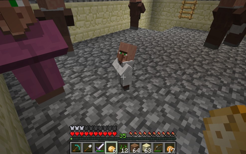 District resident of Minecraft