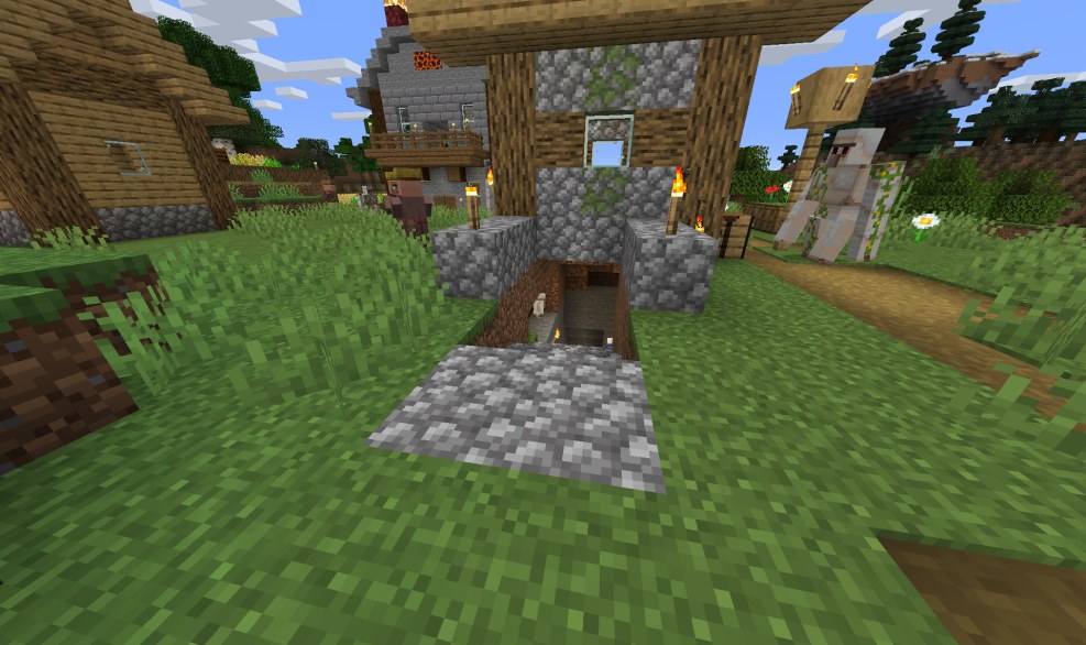 Villager in real life