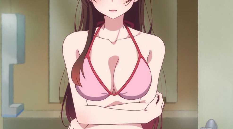 Kanojo, Okarishimasu