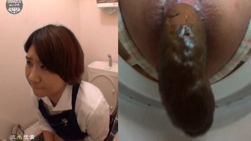 Japanese man poop into the toilet