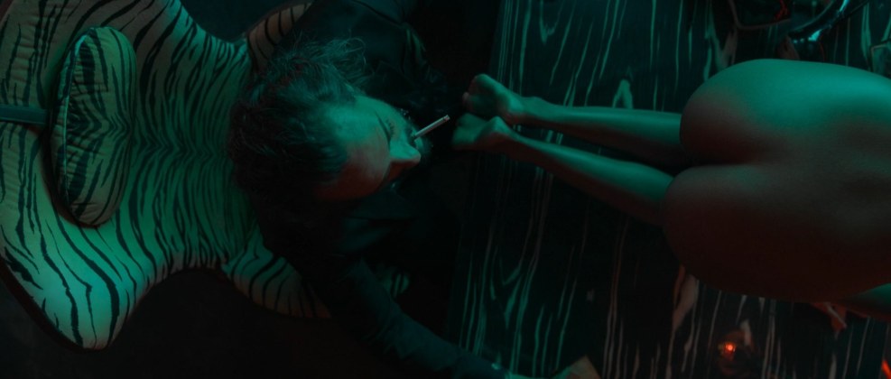 Red dermatin series 2021