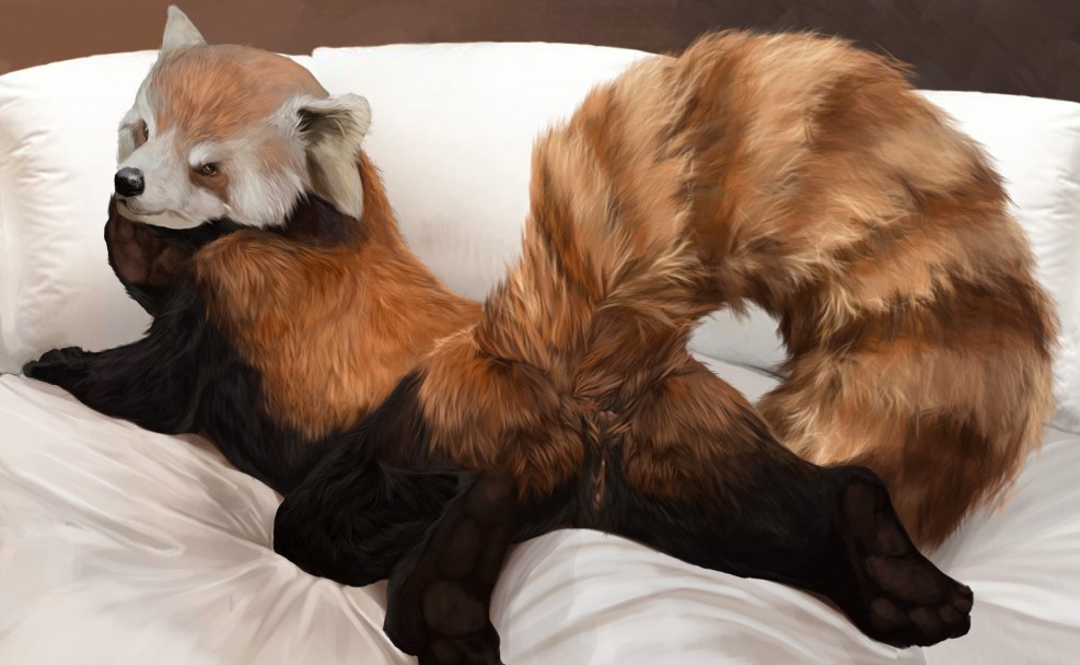 Furry Hentai Yaoy Red Panda