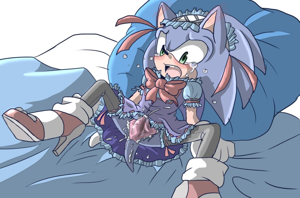 Hentai BDSM Sonic Sedou