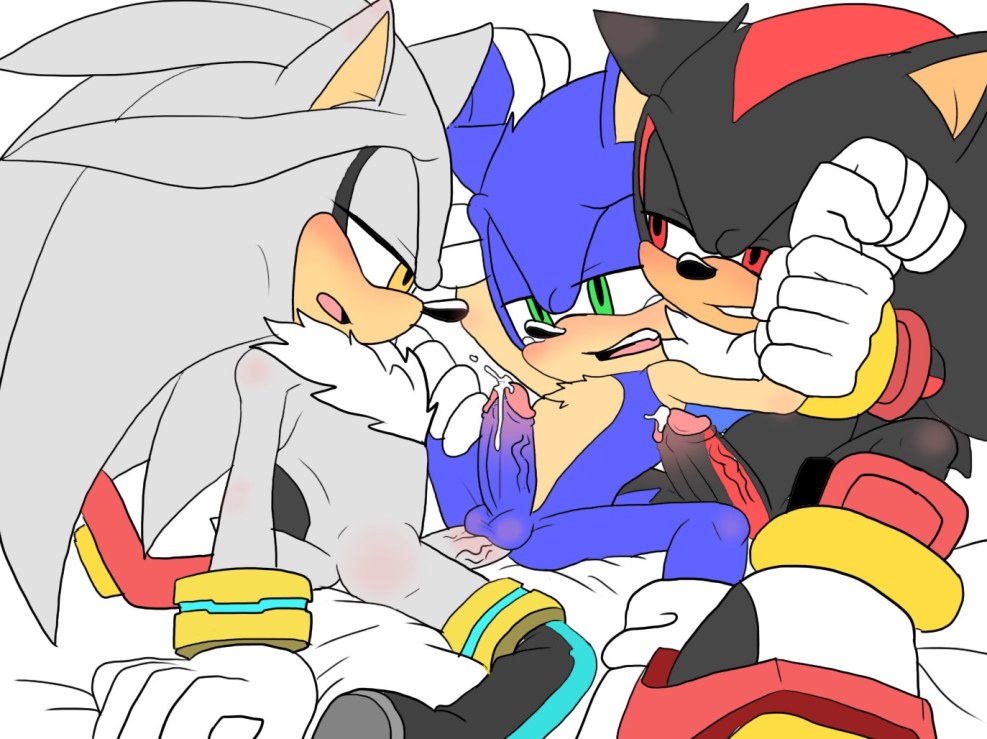Sonic Sedou Amy Gangbang