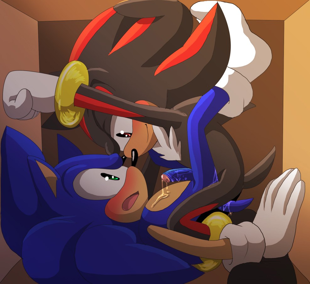 Sonic and Sedou Yaoi Hentai