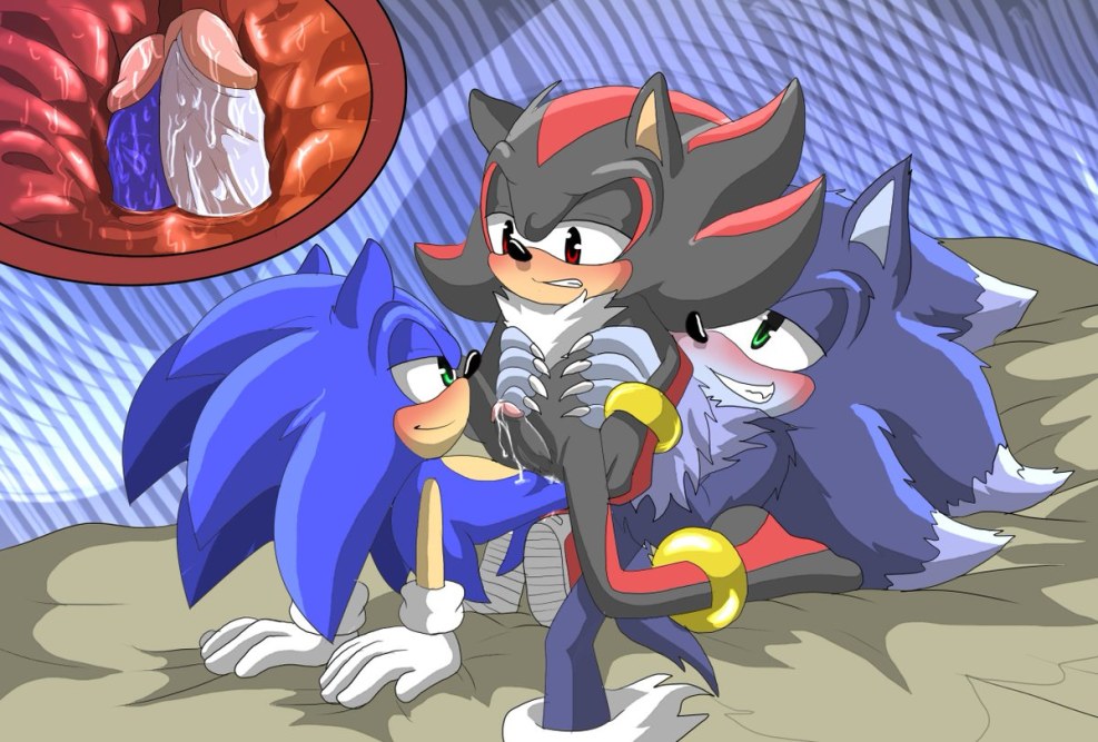 Hedgehog Shadow and Sonic Hentai