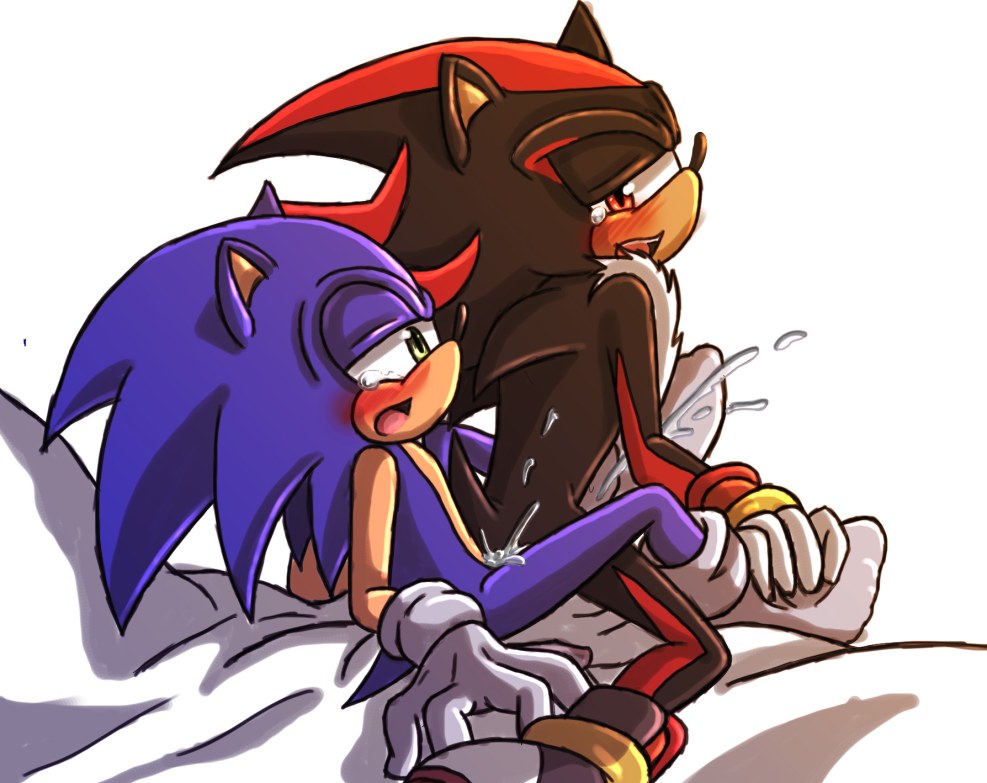 Furri Hentai Sonic Shadow