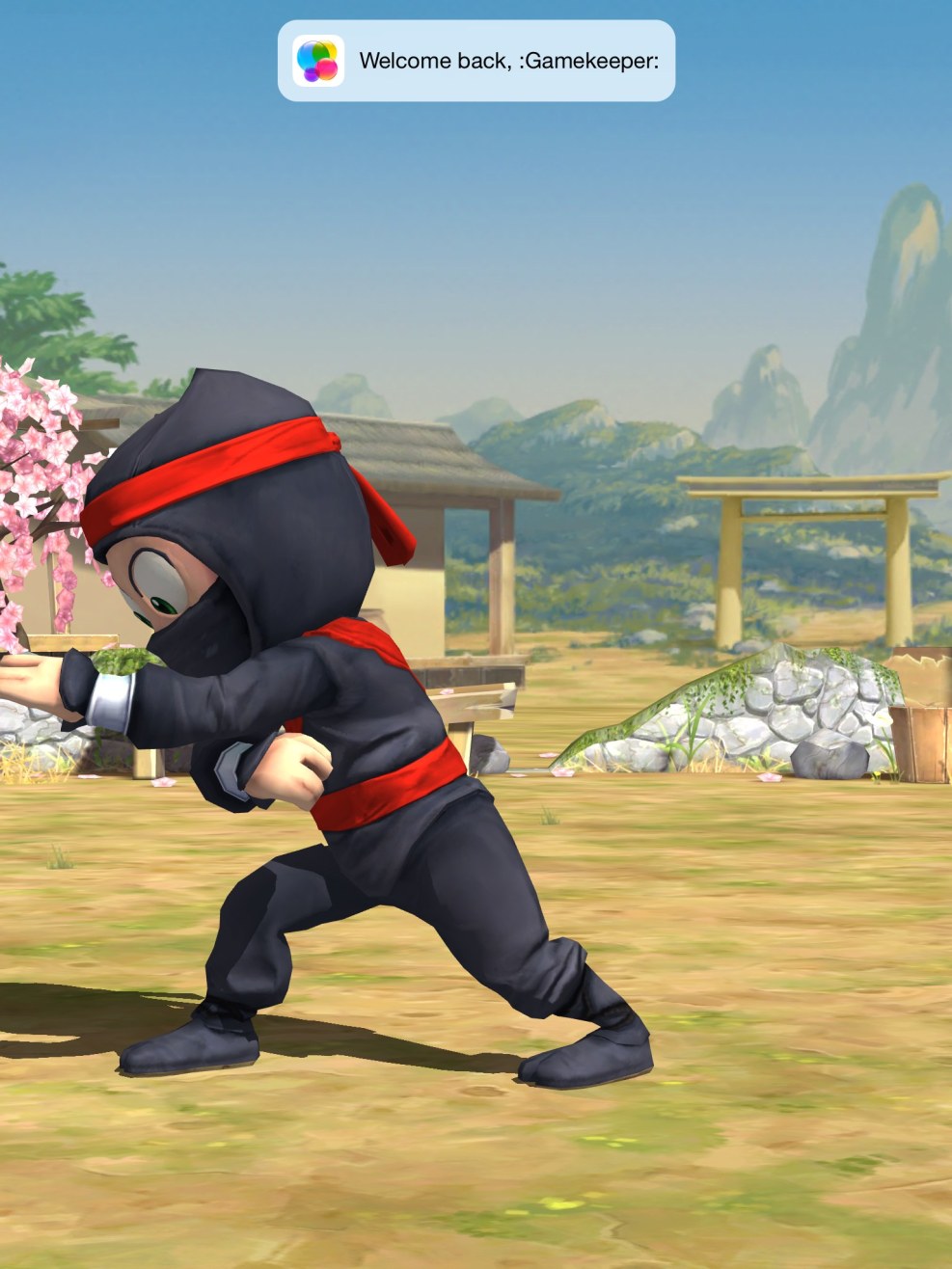 Clumsy Ninja Kira Ninja