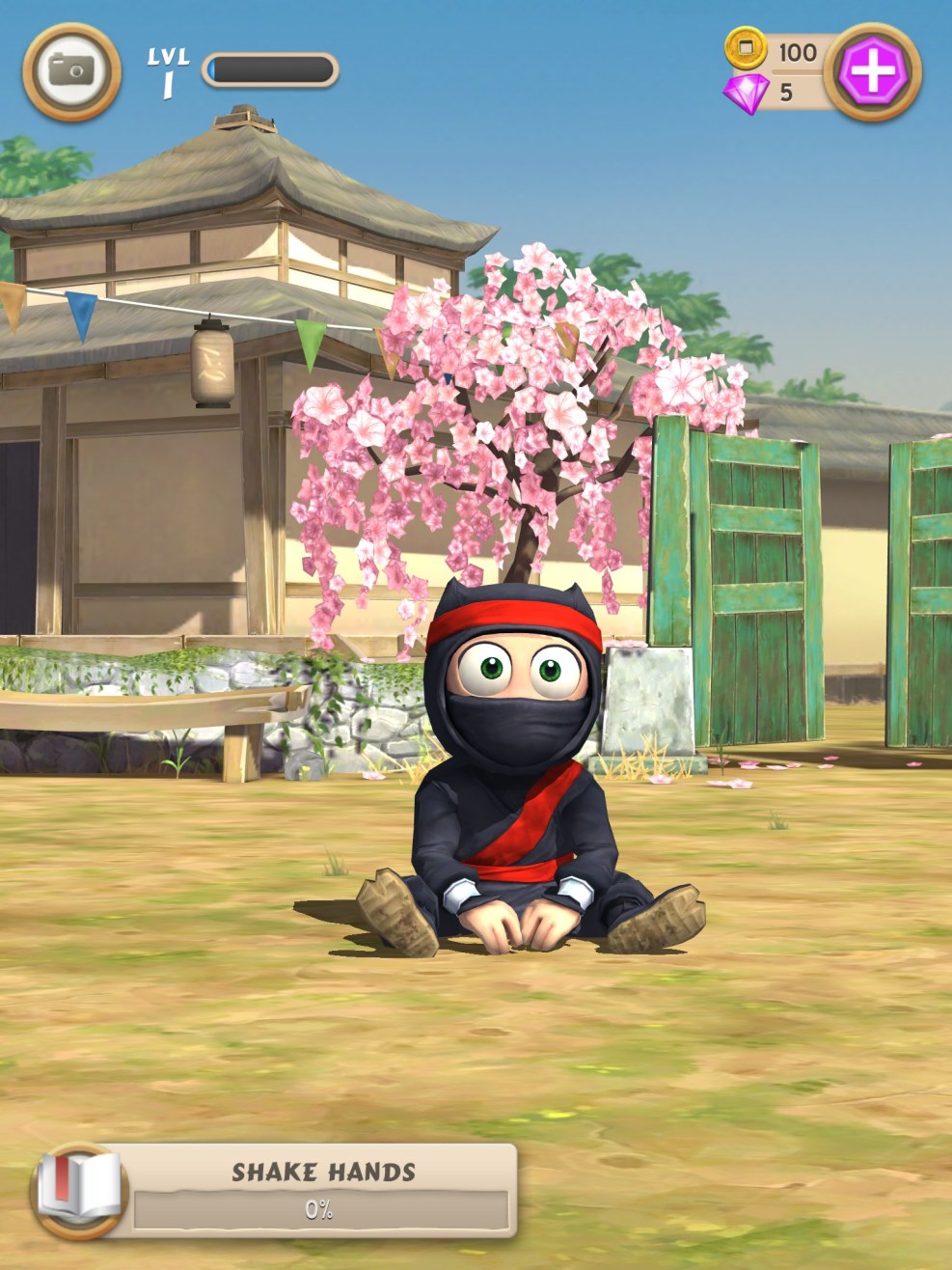 Haughty ninja