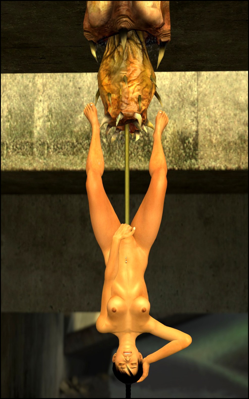 Hentai Barnakl Half Life 2