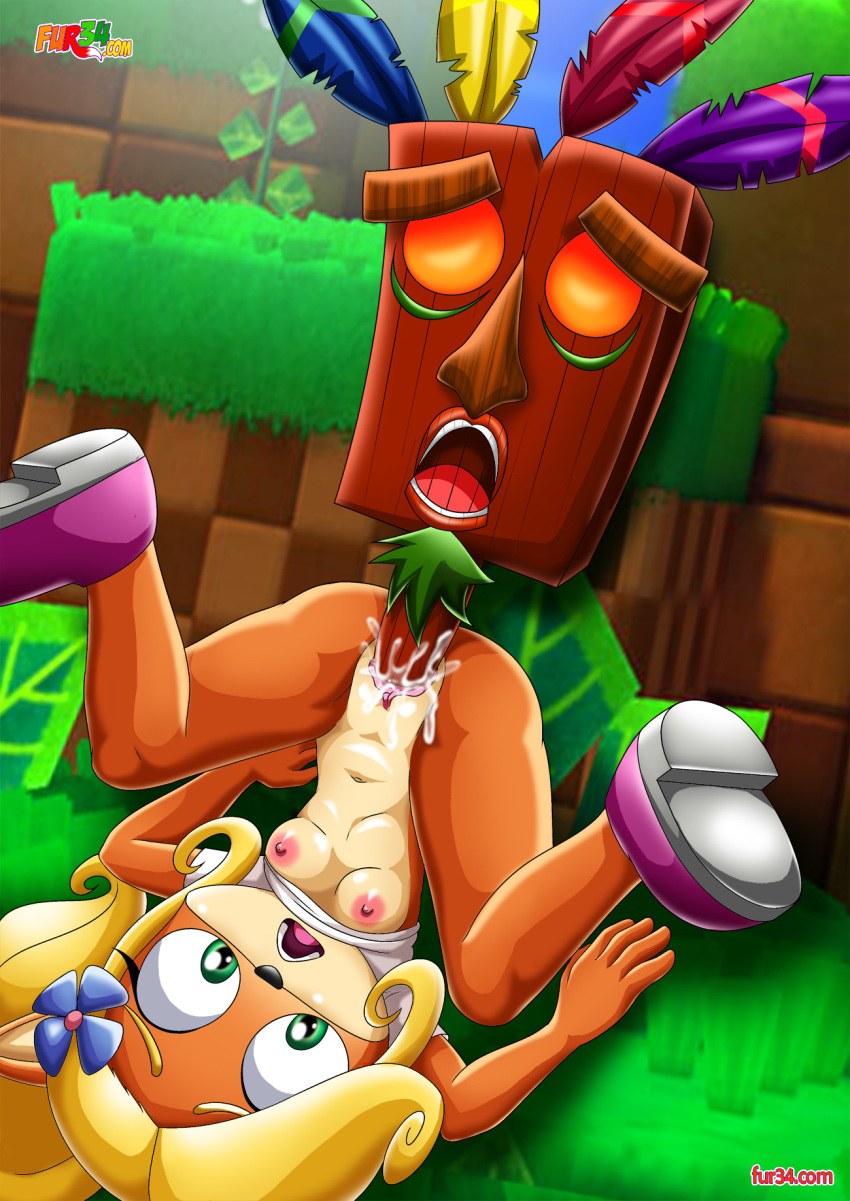 Coco from Crash Bandikut Rule 34