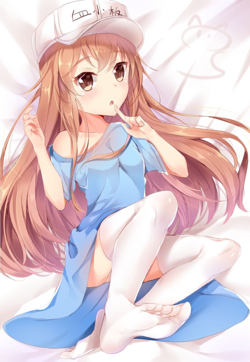 Saibou Platelet