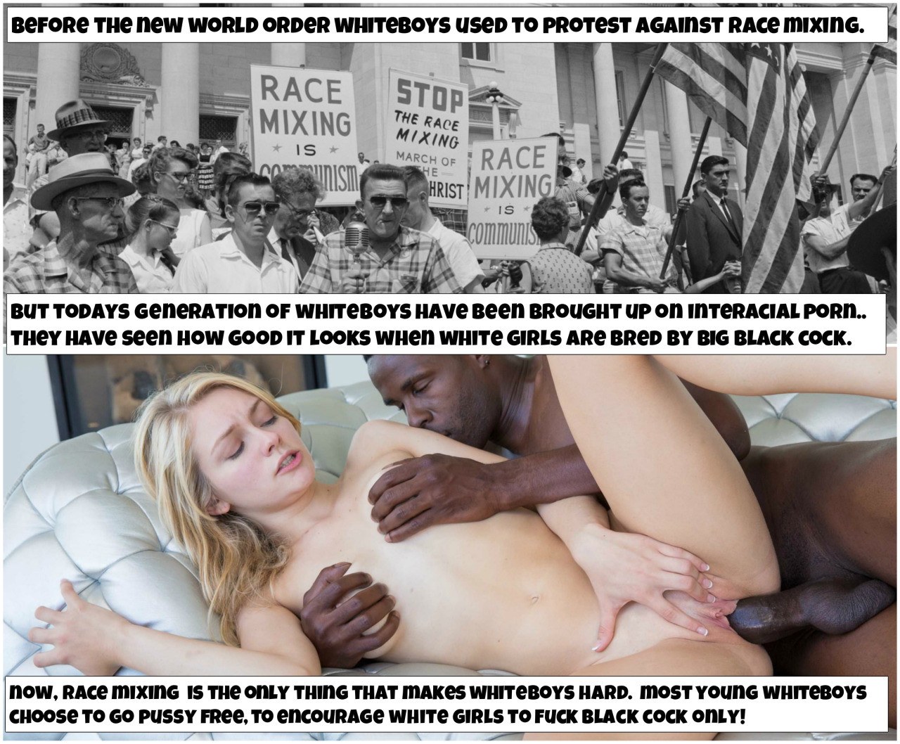 White Genocide (58 photos) - porn