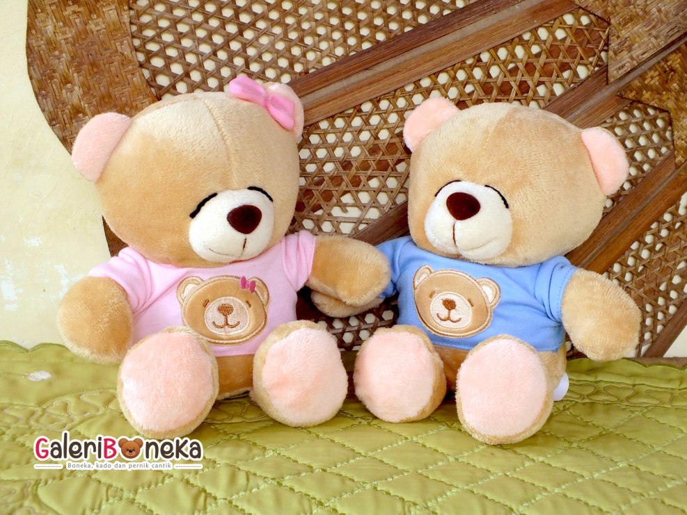 Sat on a plush bear in a store