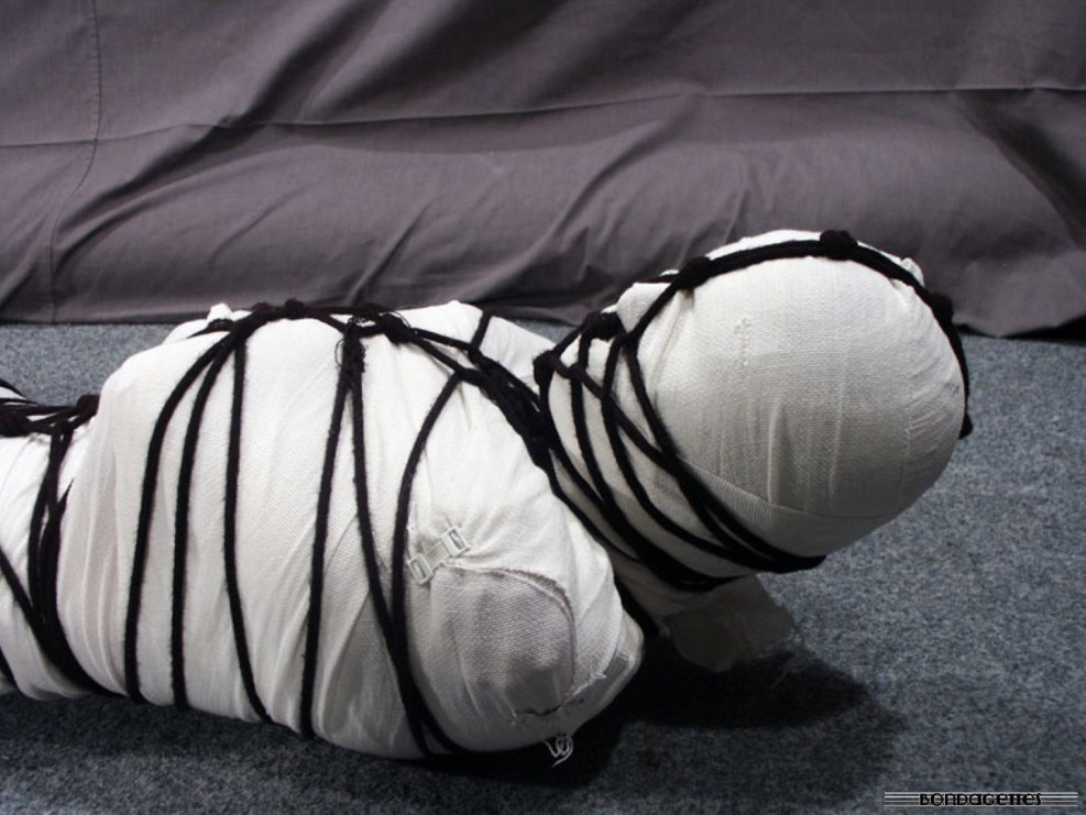 Girl Mummification Bondage BDSM blanket