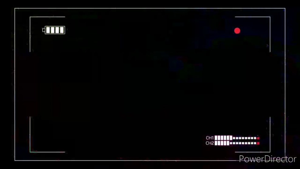 Camera screen for Sonya Vegas