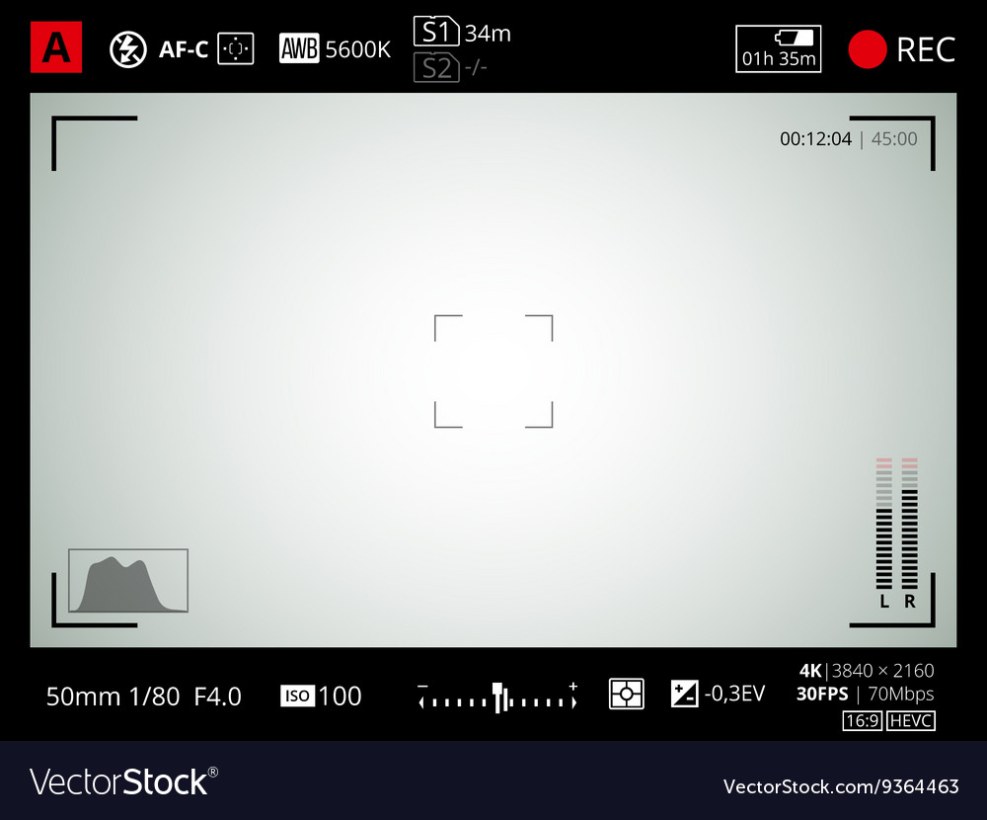 Video camera interface