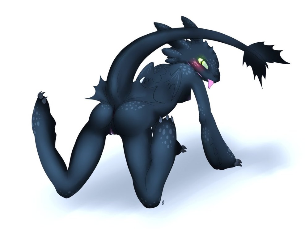 Dragon toothless with tits