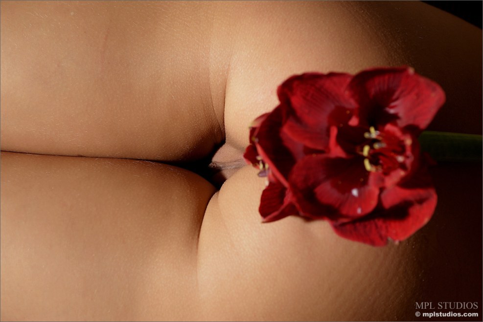 Naked Alice MPL Studios close -up