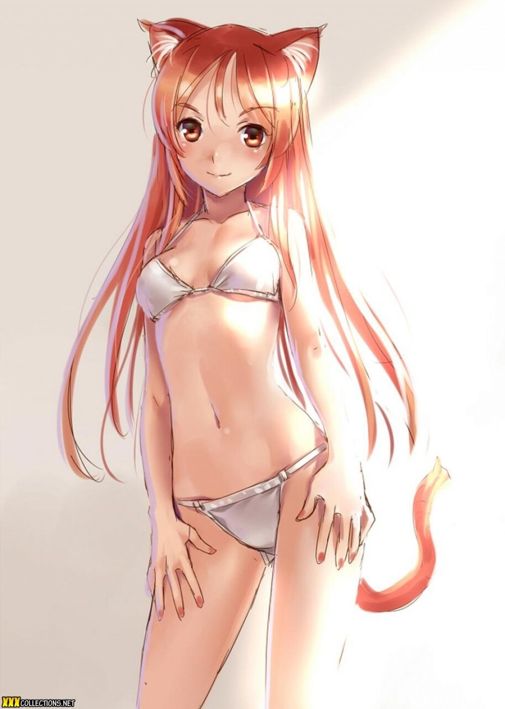 Anime cats in a swimsuit