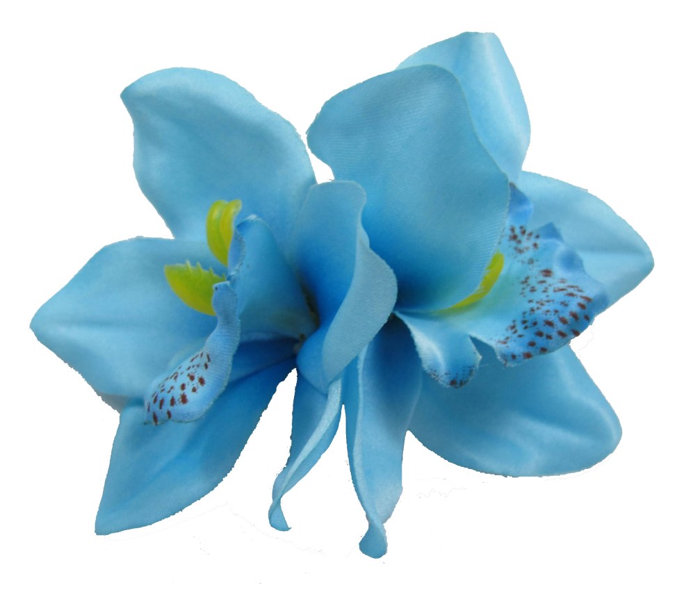 Orchids white blue watercolor