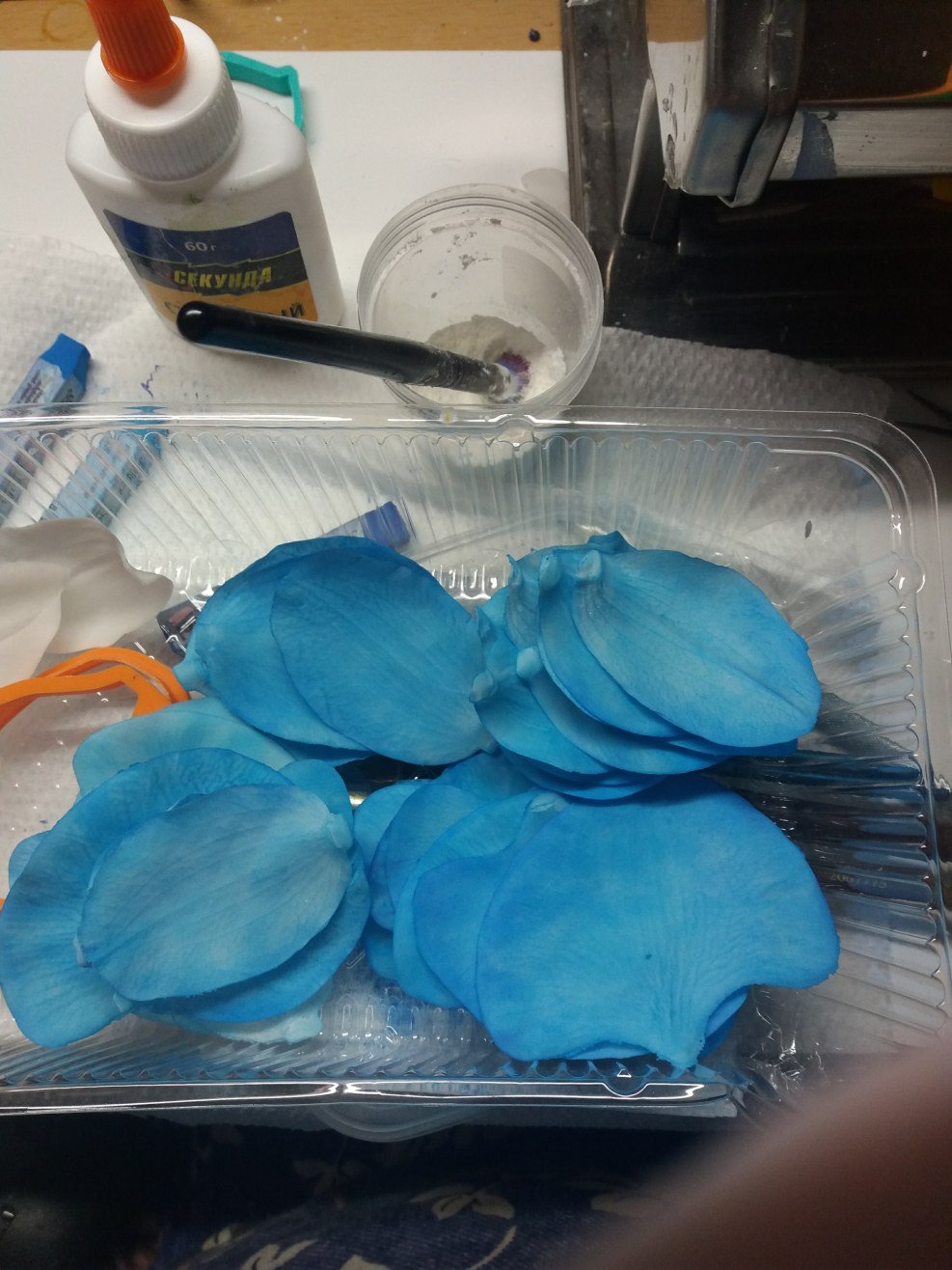 V. Adisak Blue, Woc 20th In Singapore Best of 'ascocenda'