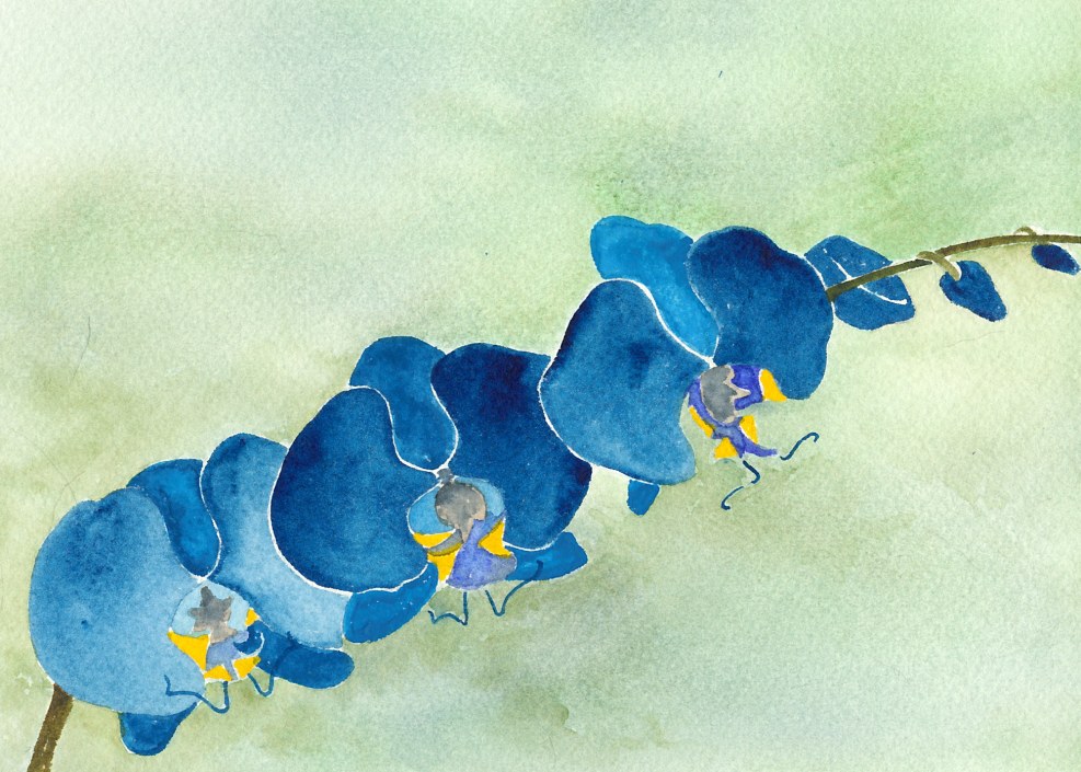 Beautiful boys Gerbys